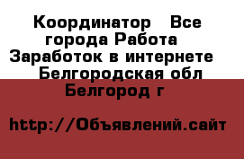 ONLINE Координатор - Все города Работа » Заработок в интернете   . Белгородская обл.,Белгород г.